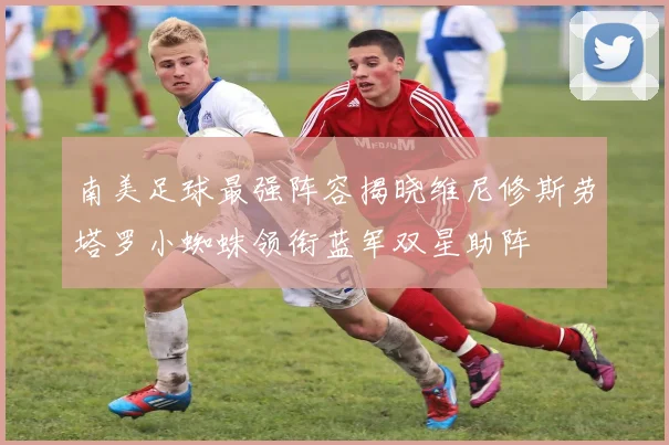 南美足球最强阵容揭晓维尼修斯劳塔罗小蜘蛛领衔蓝军双星助阵